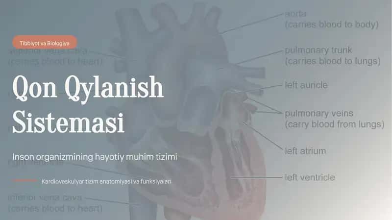 Qon aylanish sistemasi slayd 1