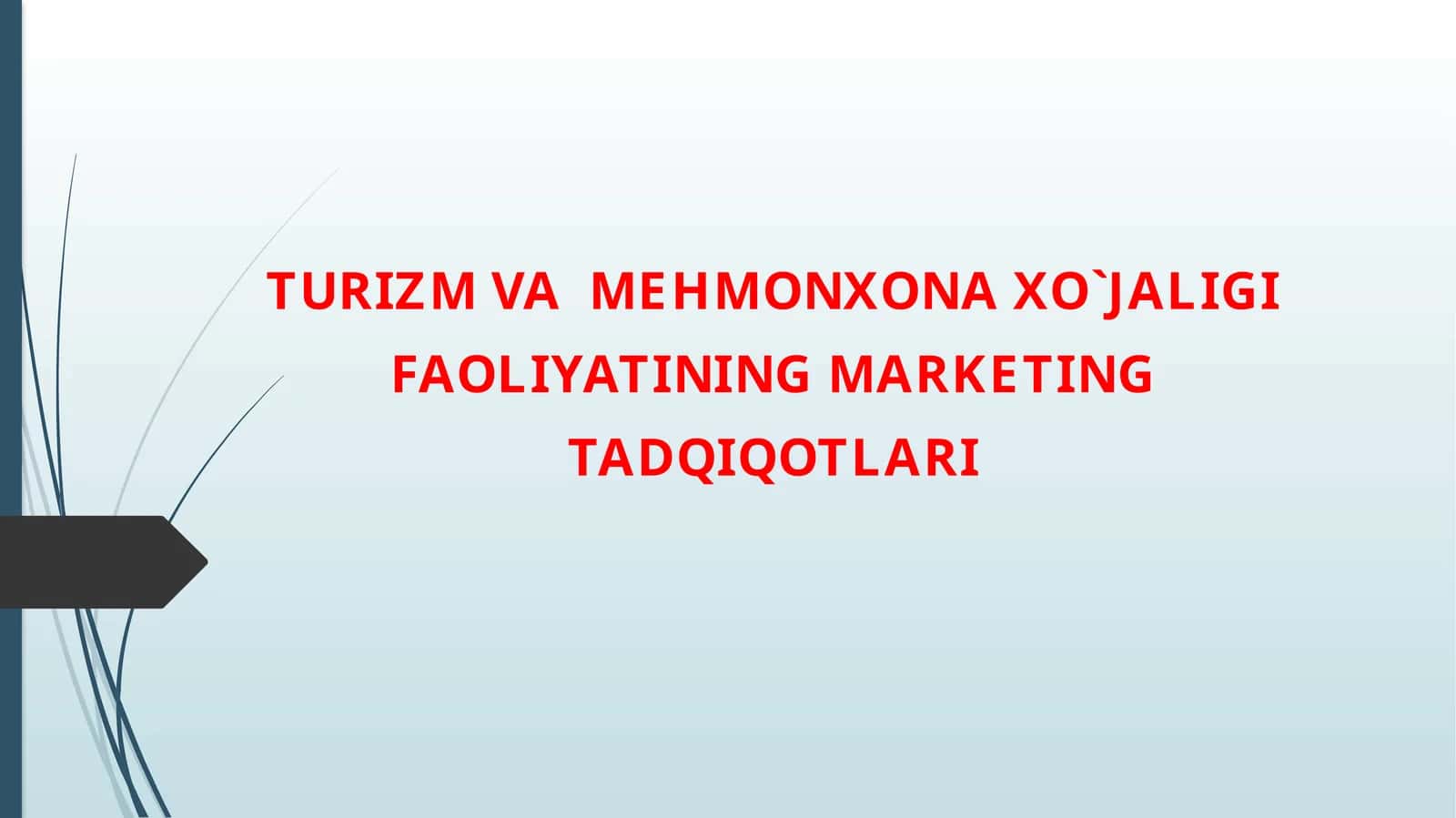 TURIZM VA MEHMONXONA XO`JALIGI FAOLIYATINING MARKETING TADQIQOTLARI 1