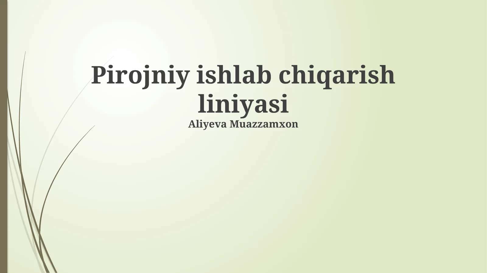 Pirojniy ishlab chiqarish liniyasi 1