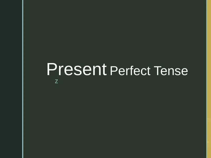 Present Perfect Tense 1