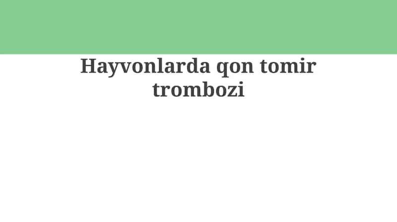 Hayvonlarda qon tomir trombozi 1