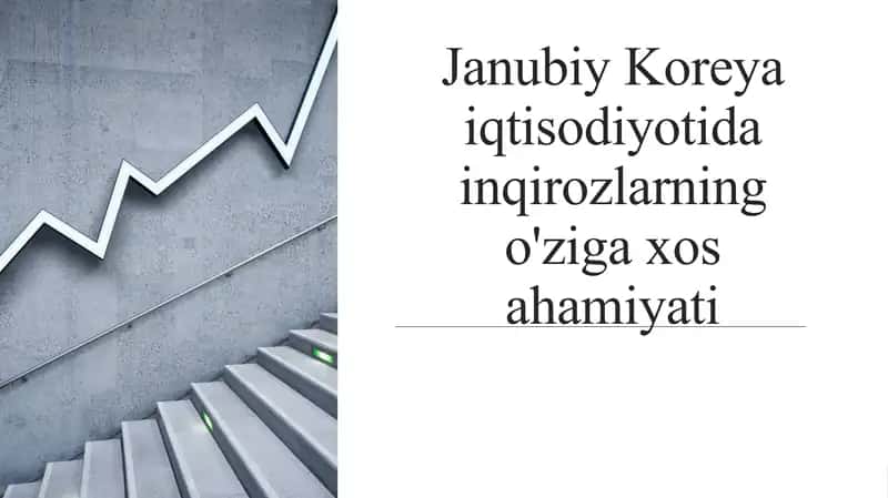 Janubiy Koreya iqtisodiyotida inqirozlarning o'ziga xos ahamiyati 1