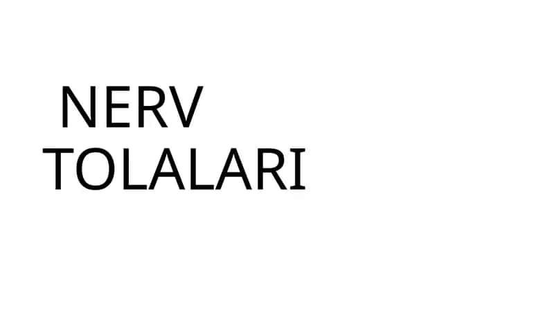 NERV TOLALARI 1