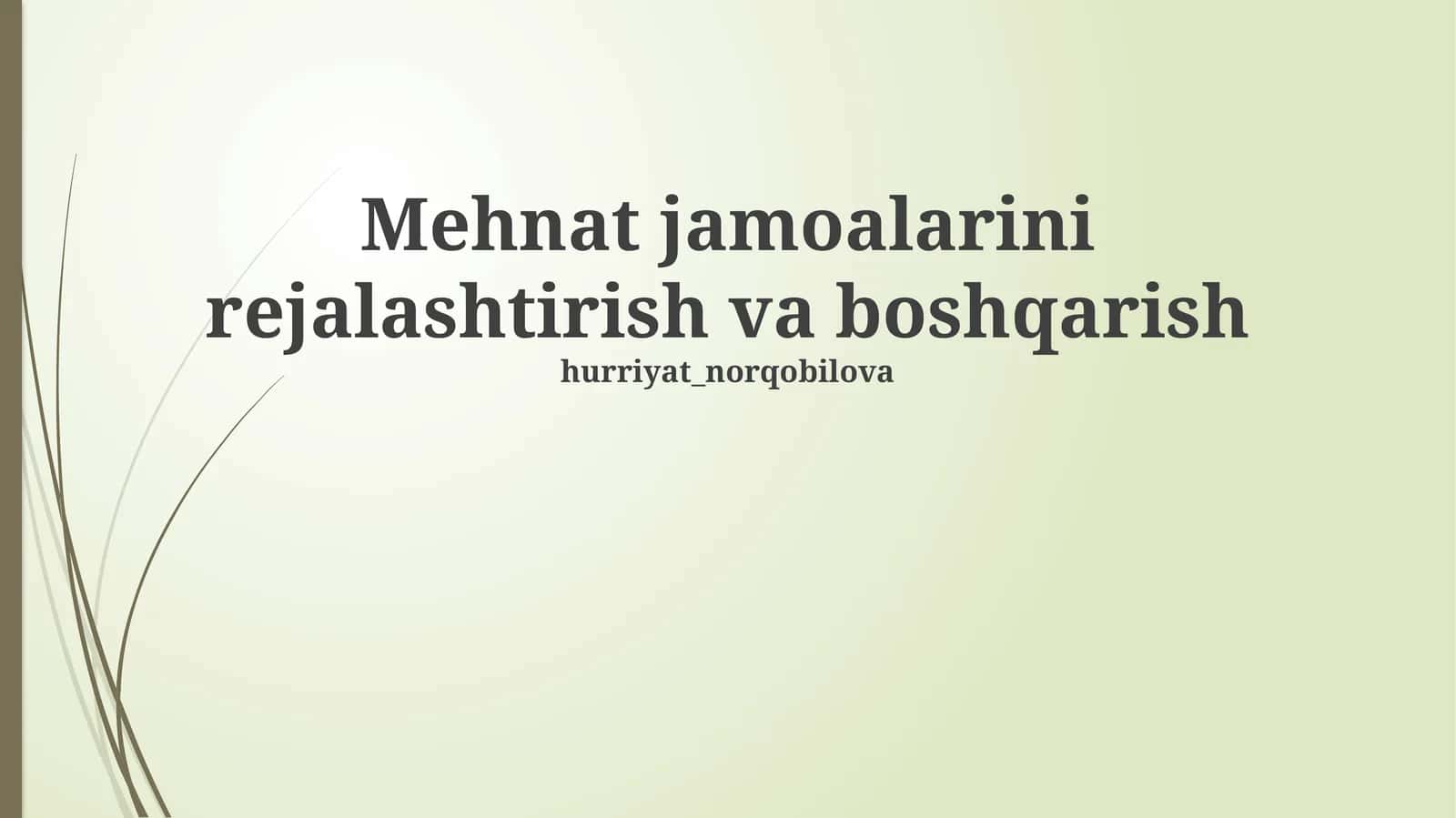 Mehnat jamoalarini rejalashtirish va boshqarish 1