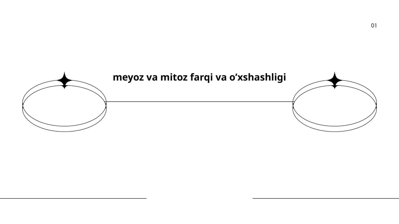 Meyoz va Mitoz Farqi va O’xshashligi 1