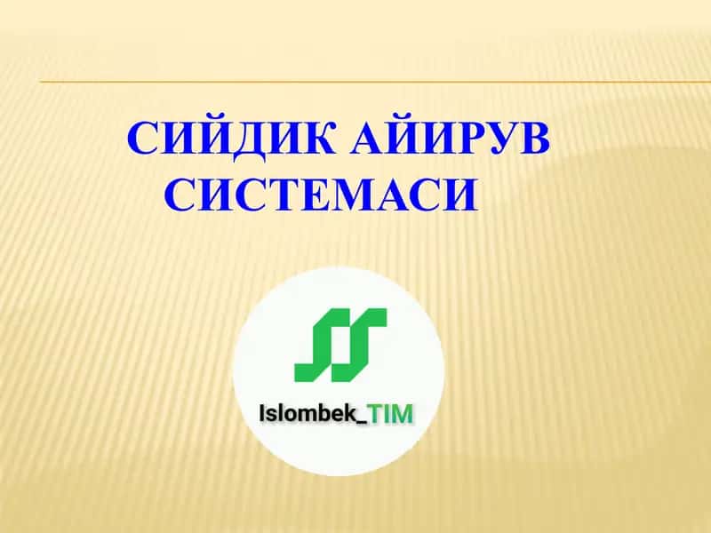 Сийдик Айирув Системаси 1