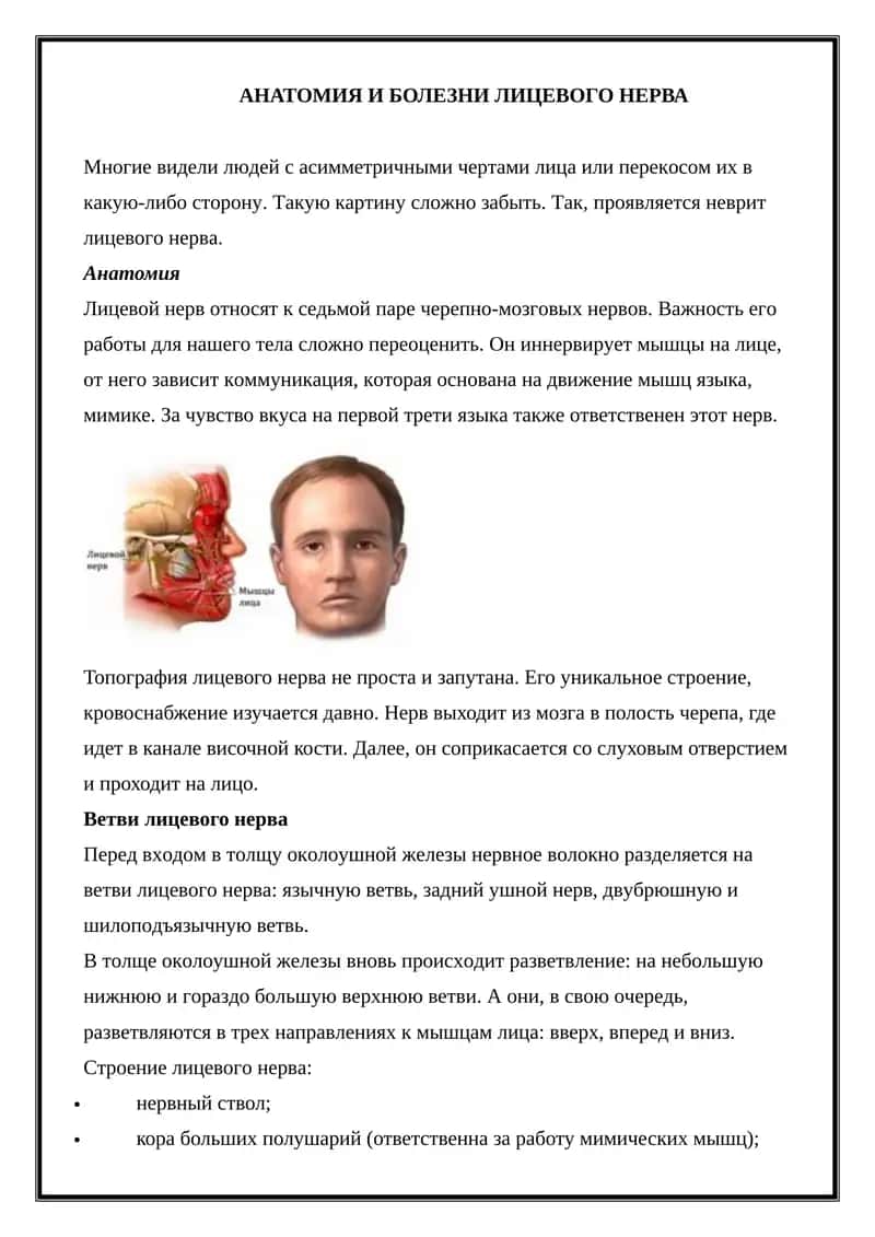 Анатомия и болезни лицевого нерва 1