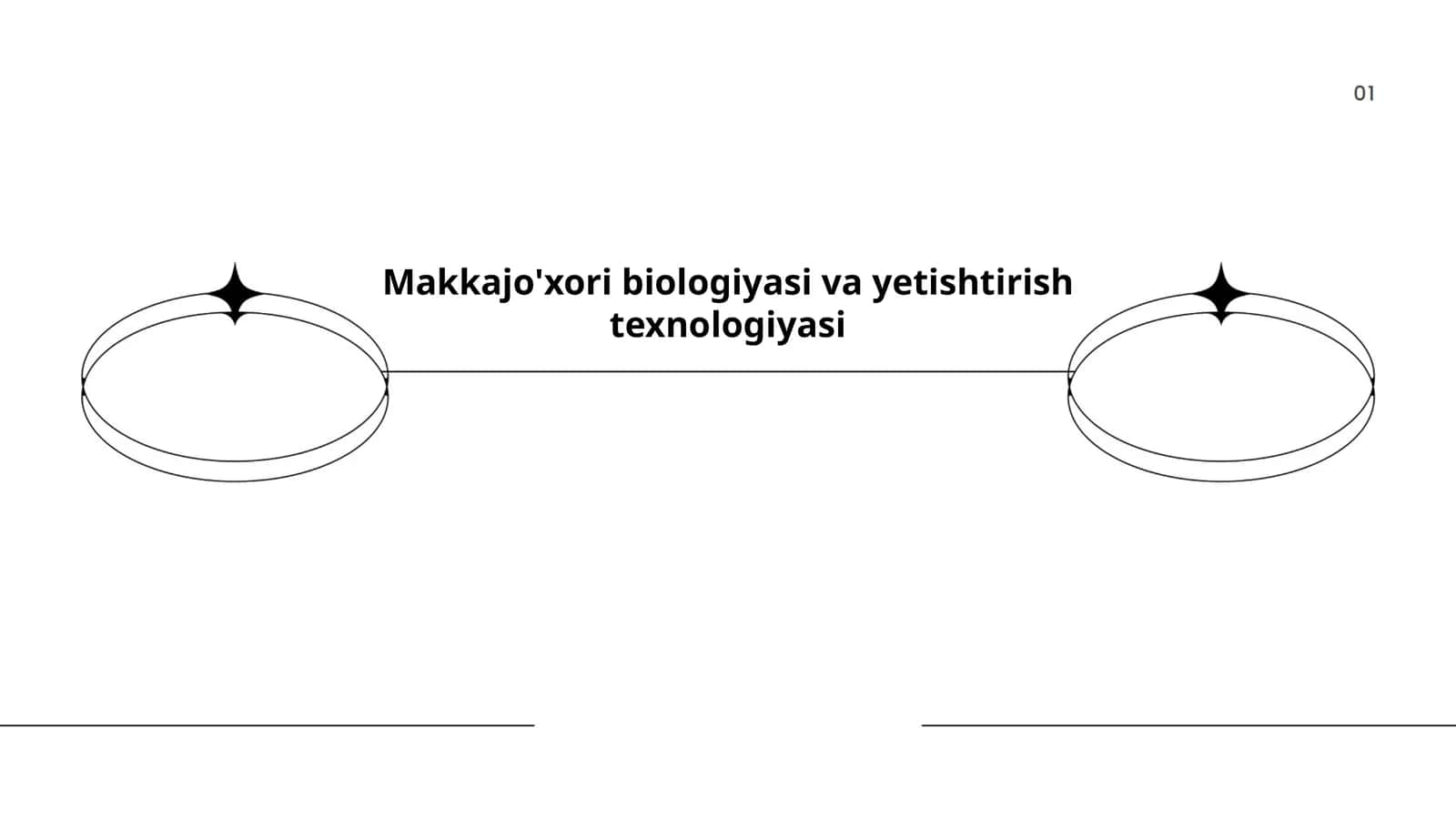 Makkajo'xori biologiyasi va yetishtirish texnologiyasi 1