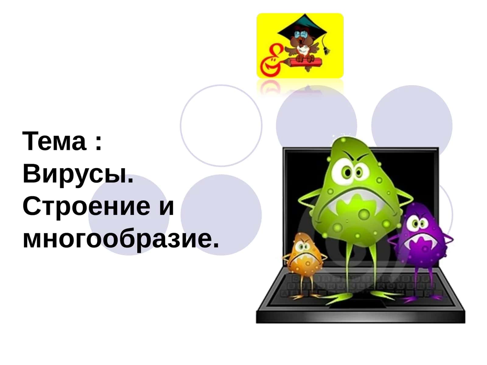 Вирусы.Строение и многообразие 1