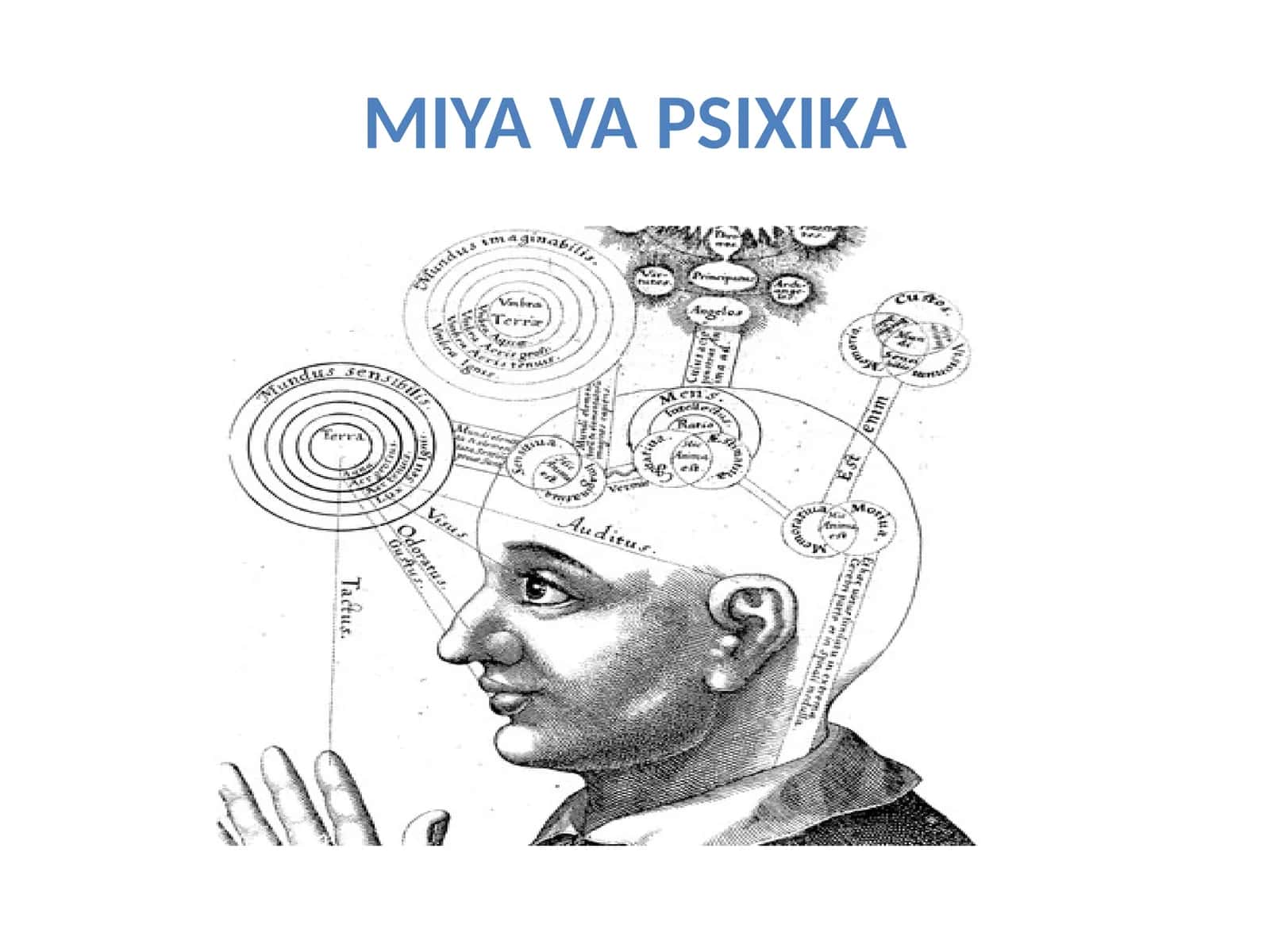 MIYA VA PSIXIKA 1