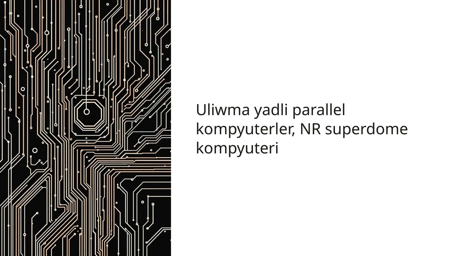 Uliwma yadli parallel kompyuterler, NR superdome kompyuteri 1