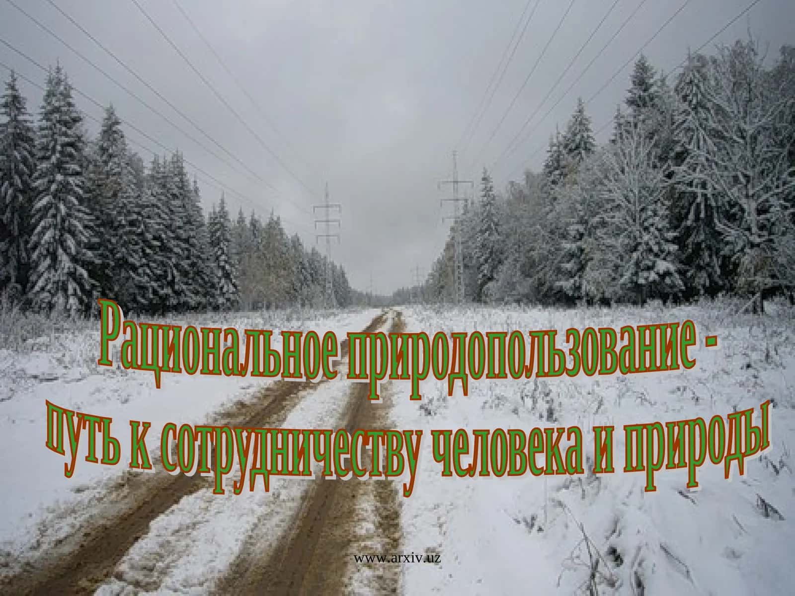 Рациональное природопользование - путь к сотрудничеству человека и природы 1