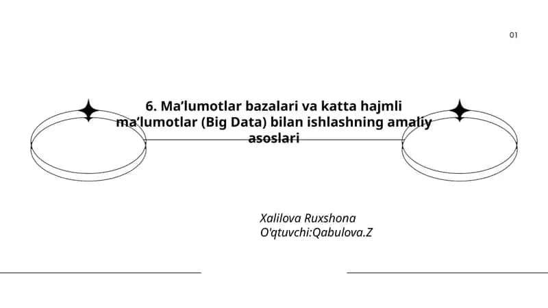 Ma'lumotlar bazalari va katta hajmli ma'lumotlar (Big Data) bilan ishlashning amaliy asoslari 1