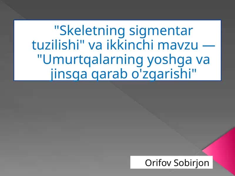 Skeletning sigmentar tuzilishi 1