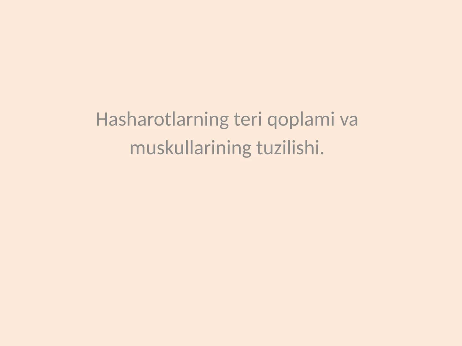 Hasharotlarning teri qoplami va muskullarining tuzilishi 1