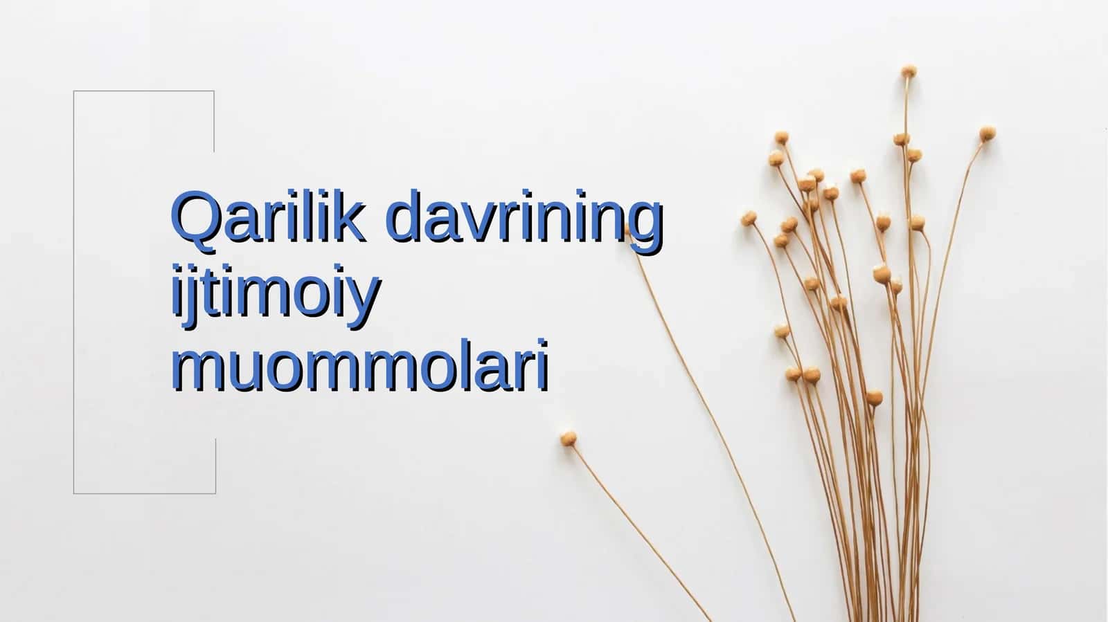 Qarilik davrining ijtimoiy muommolari 1