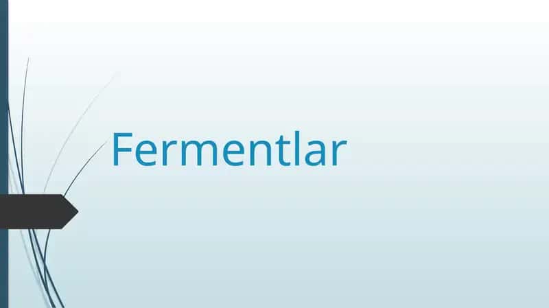 Fermentlar 1