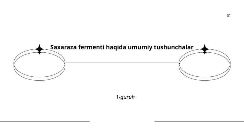 Saxaraza fermenti haqida umumiy tushunchalar 1