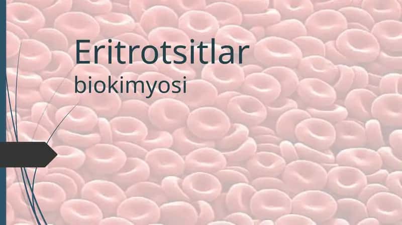 Eritrotsitlarbiokimyosi 1