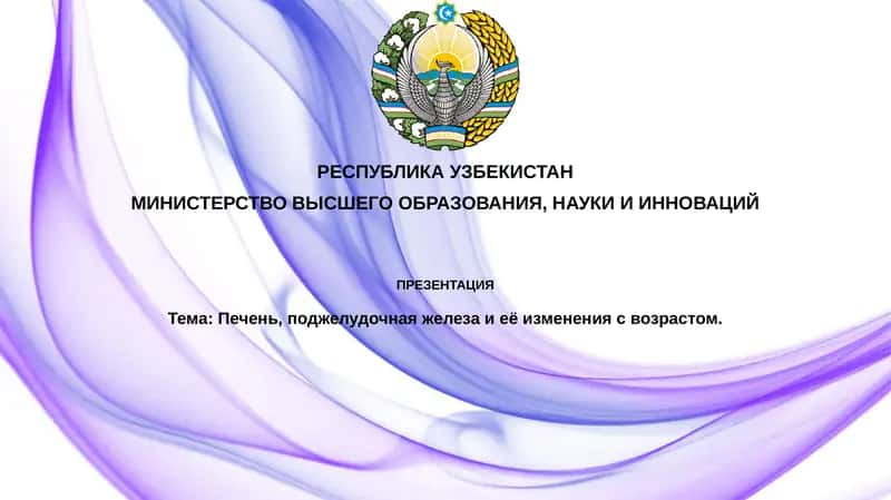 Печень, поджелудочная железа и её изменения с возрастом 1
