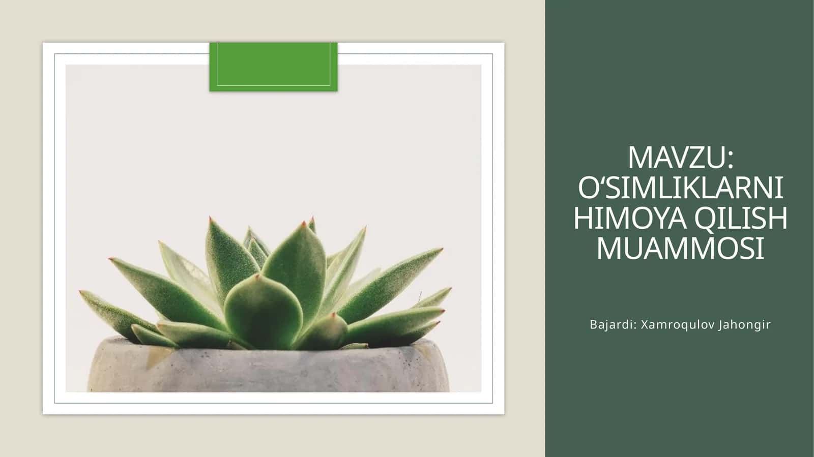 O‘simliklarni himoya qilish muammosi 1