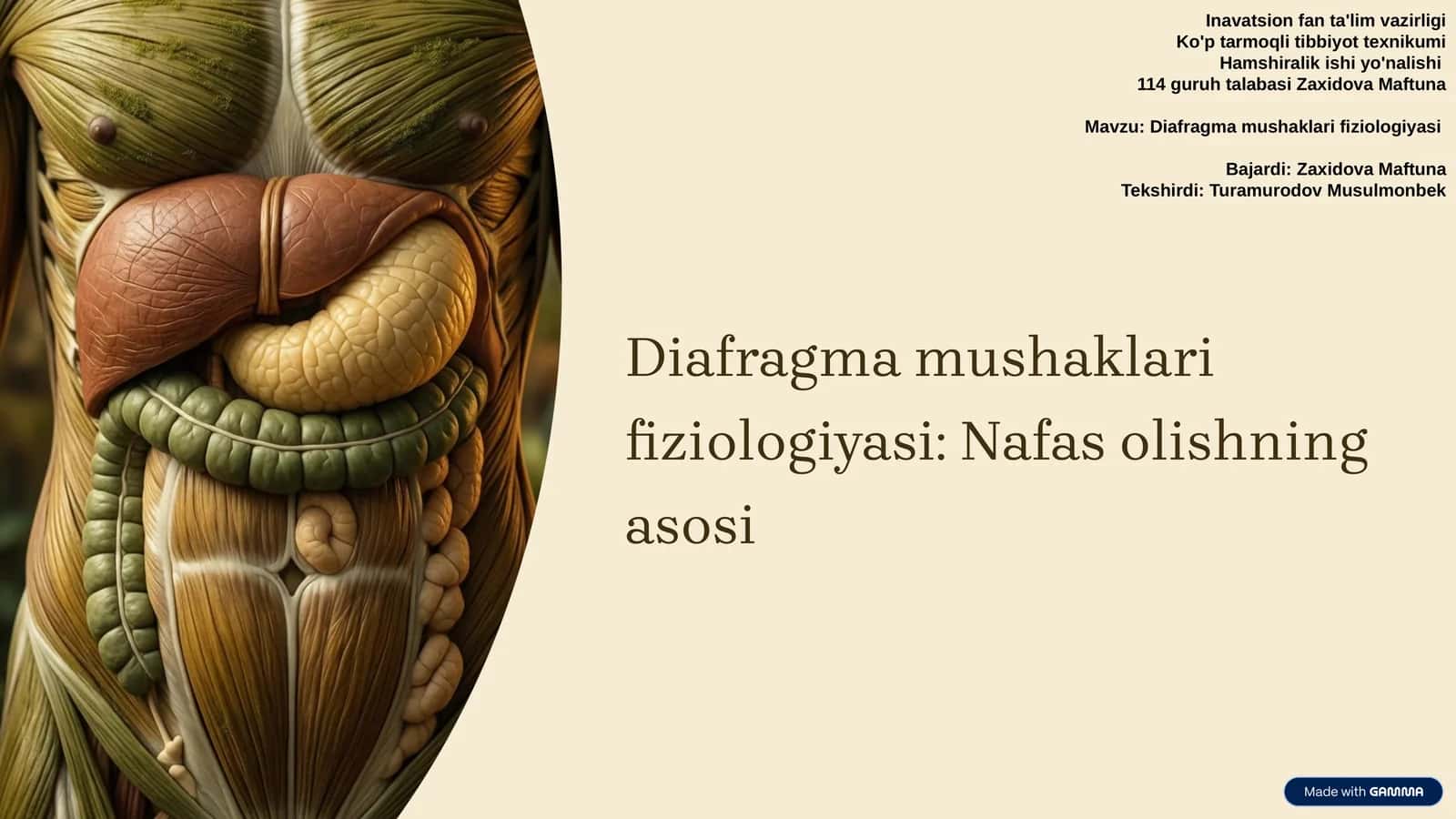 Diafragma mushaklari fiziologiyasi 1