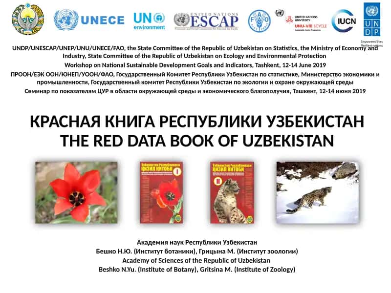 КРАСНАЯ КНИГА РЕСПУБЛИКИ УЗБЕКИСТАН. THE RED DATA BOOK OF UZBEKISTAN 1