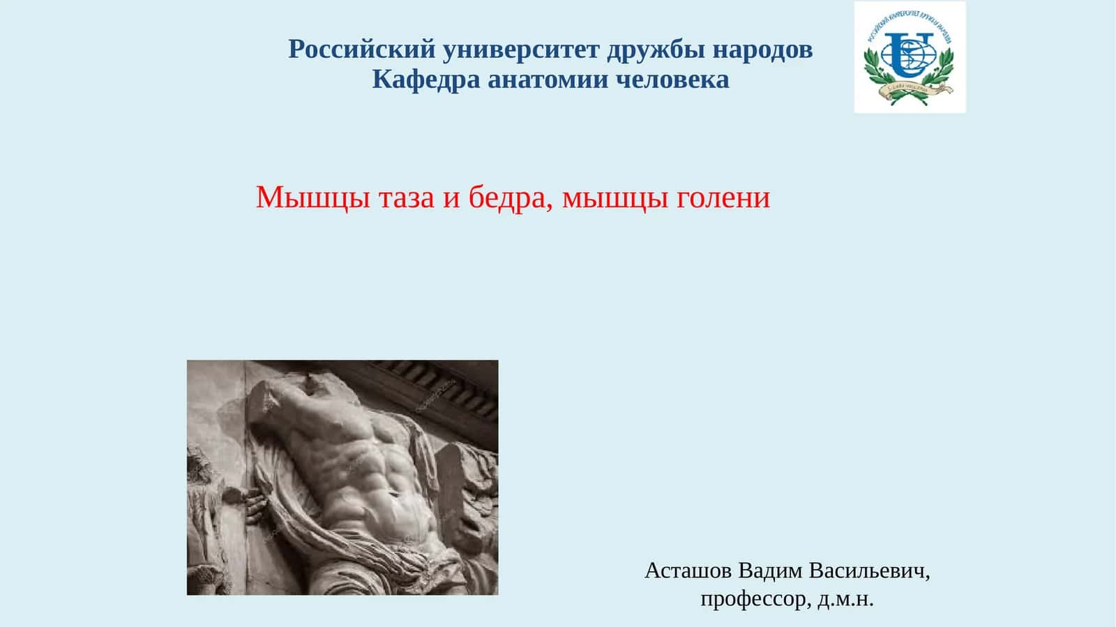 МЫШЦЫ, ДЕЙСТВУЮЩИЕ НА ТАЗОБЕДРЕННЫЙ СУСТАВ 1