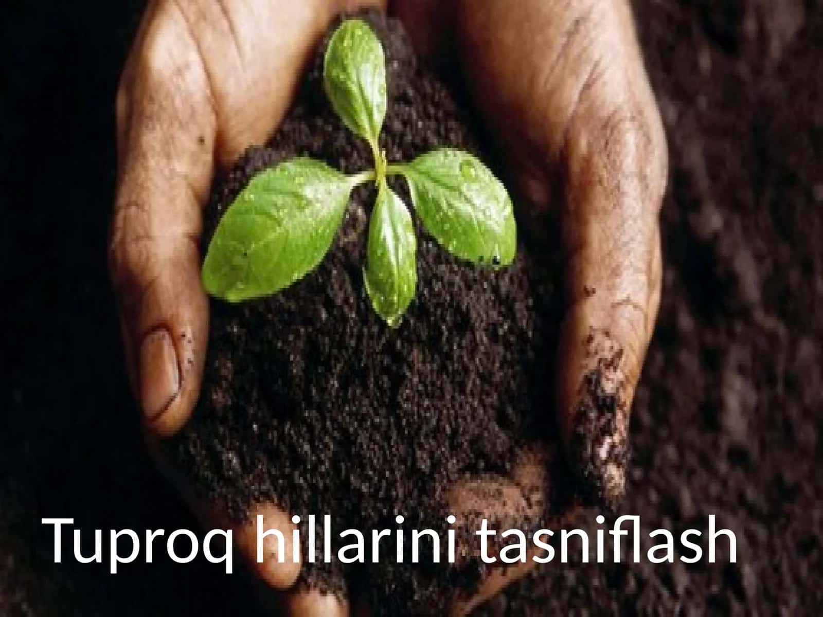 Tuproqhillarinitasniflash 1