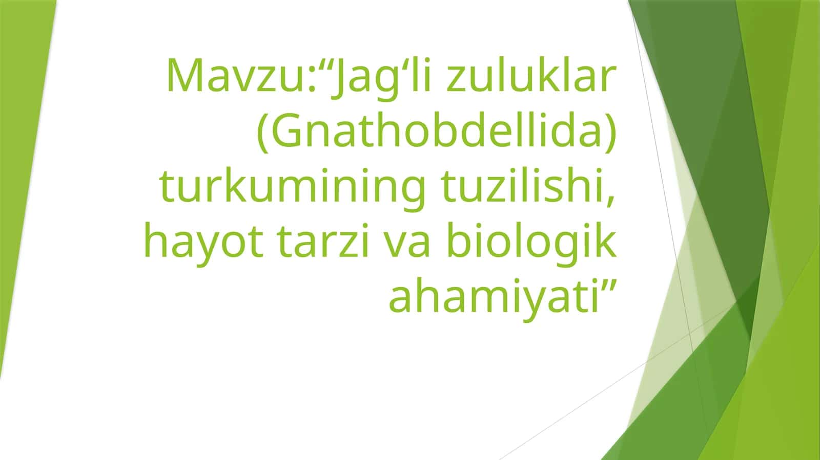 Jag‘lizuluklar (Gnathobdellida) turkumining tuzilishi, hayot tarzi va biologik ahamiyati 1