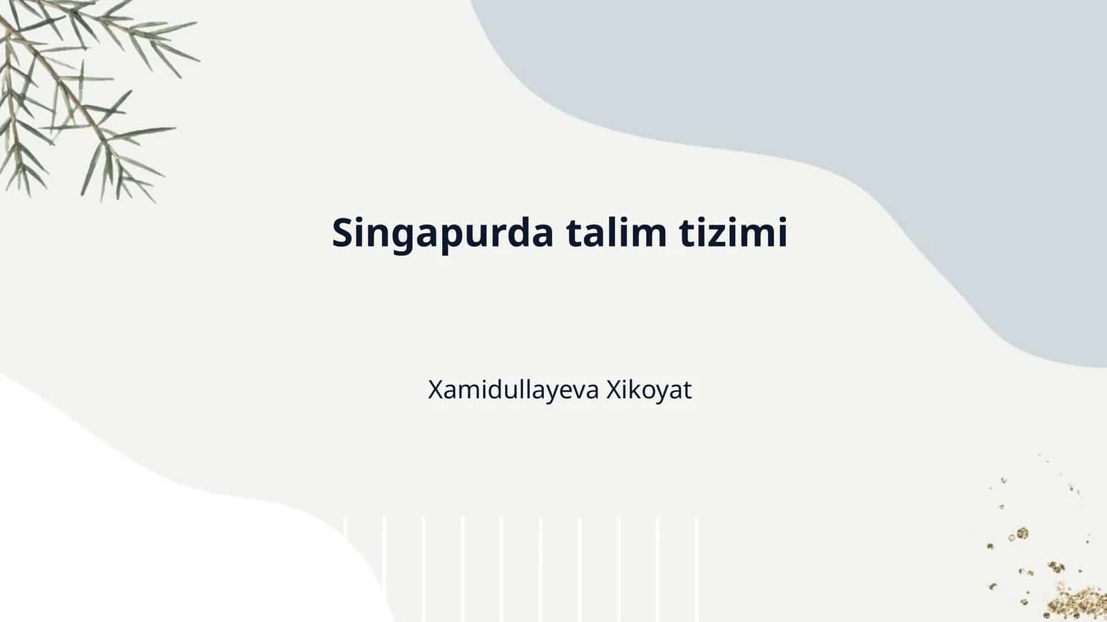 Singapurda talim tizimi 1