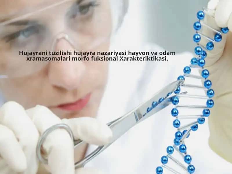 Hujayrani tuzilishi hujayra nazariyasi hayvon va odam xramasomalari morfo fuksional Xarakteriktikasi 1