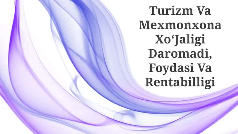 Turizm Va Mexmonxona XoʻJaligi Daromadi, Foydasi Va Rentabilligi 1