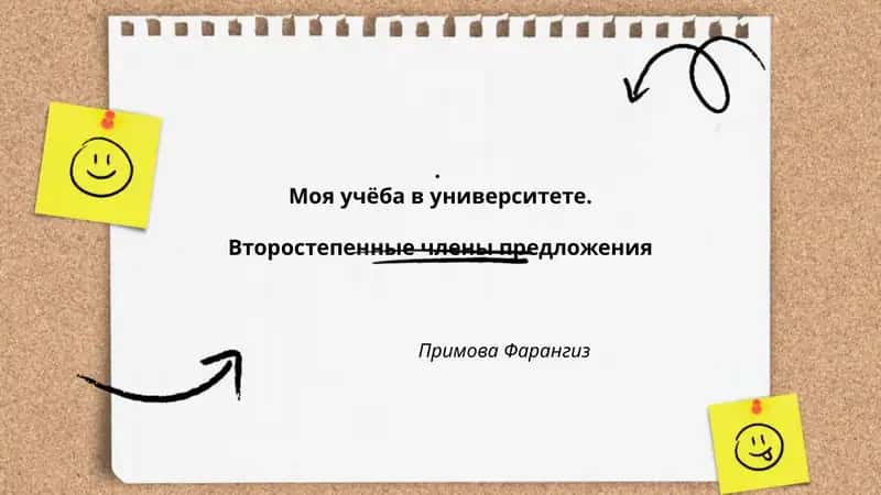 Моя учёба в университете. Второстепенные члены предложения 1
