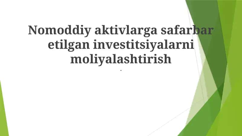 Nomoddiy aktivlarga safarbar etilgan investitsiyalarni moliyalashtirish 1