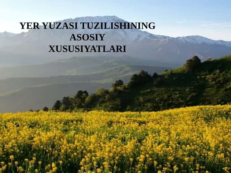 YER YUZASI TUZILISHINING ASOSIYXUSUSIYATLARI 1