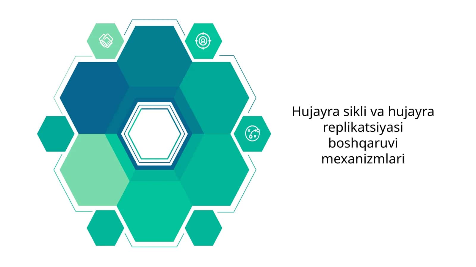 Hujayra sikli va hujayra replikatsiyasi boshqaruvi mexanizmlari 1