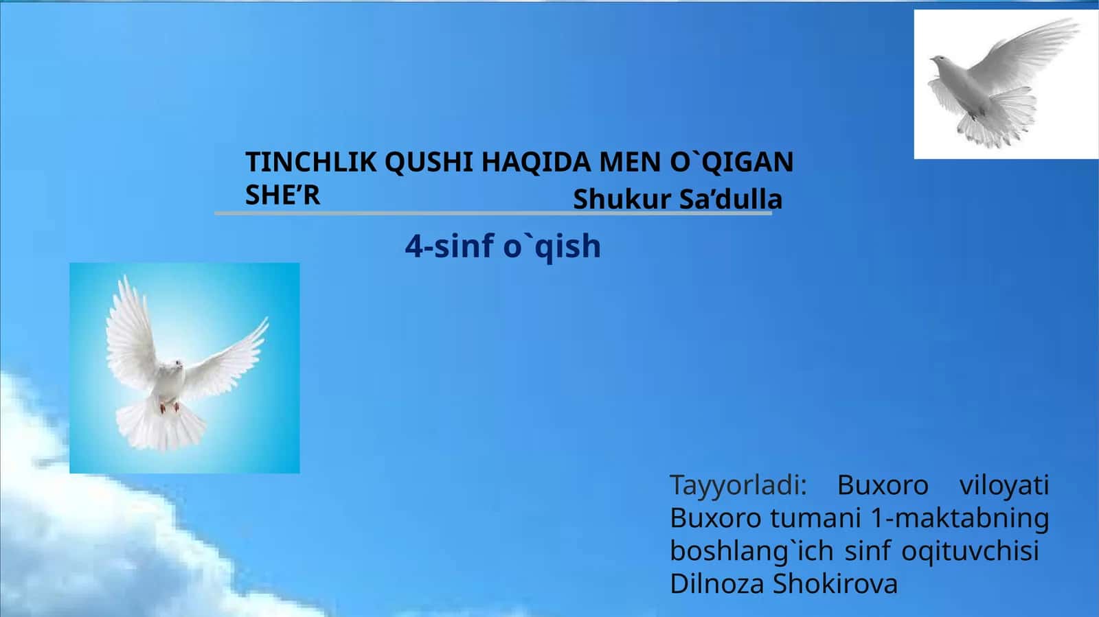 TINCHLIK QUSHI HAQIDA MEN O`QIGAN SHE’R 1