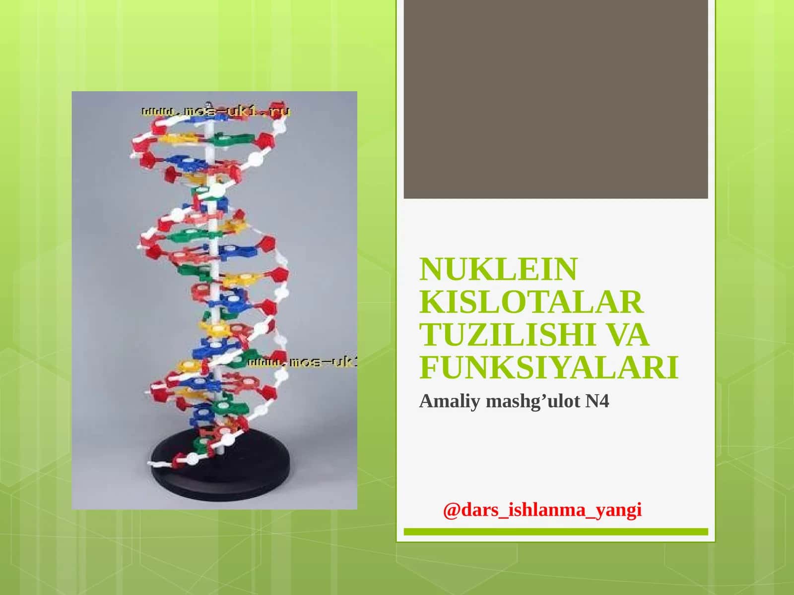 NUKLEIN KISLOTALAR TUZILISHI VA FUNKSIYALARI 1