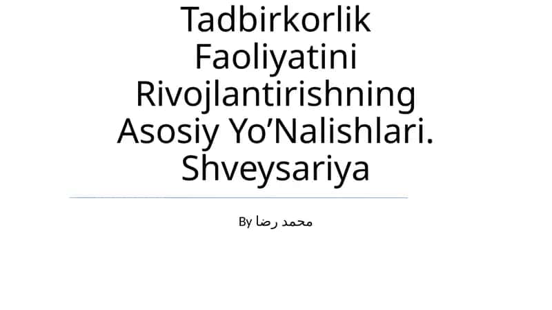 Tadbirkorlik Faoliyatini Rivojlantirishning Asosiy Yo’Nalishlari. Shveysariya 1