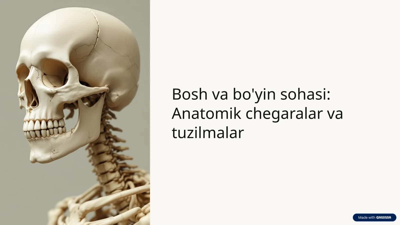 Inson tanasining murakkab hududlari 1