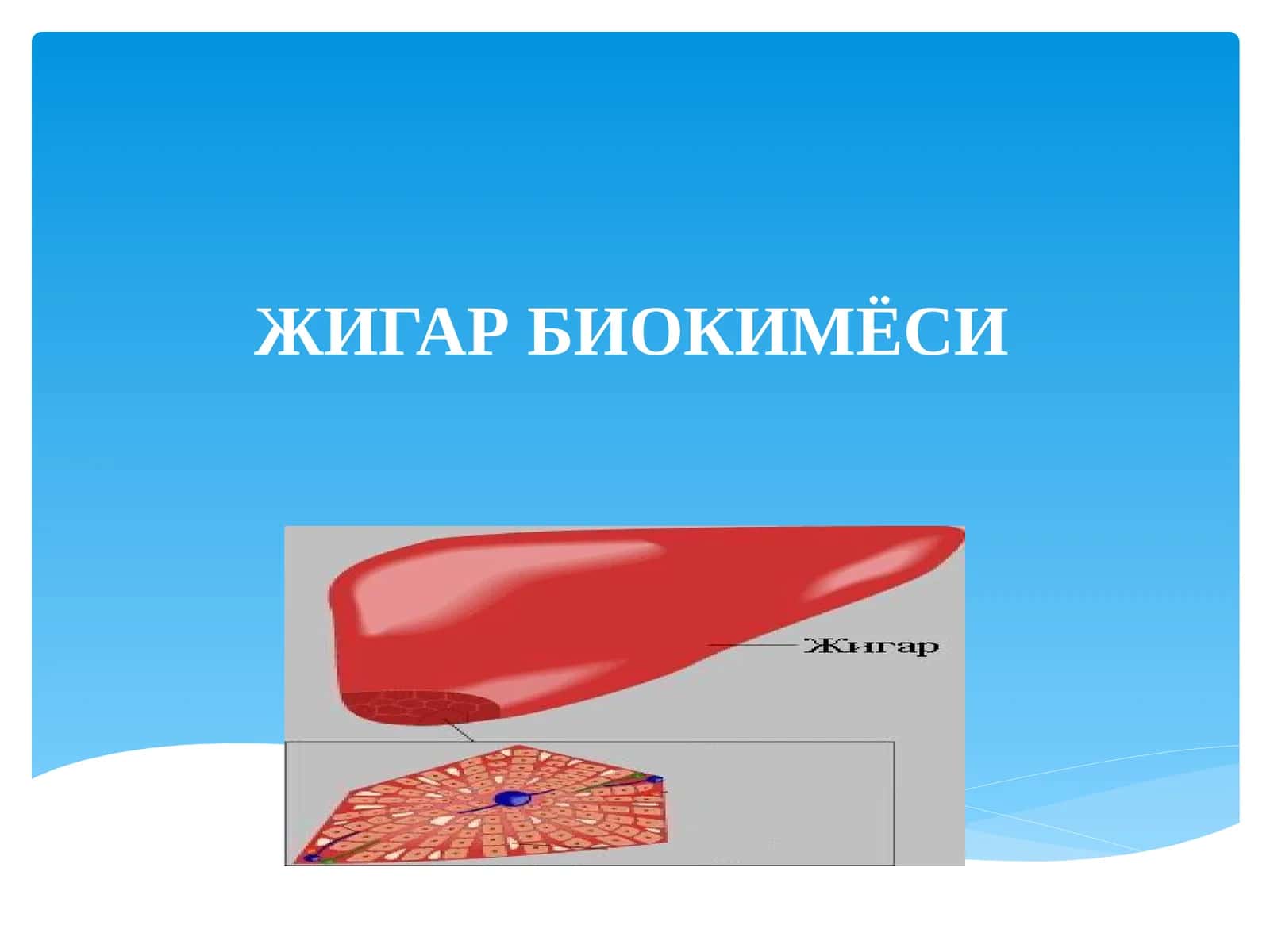 ЖИГАР БИОКИМЁСИ 1
