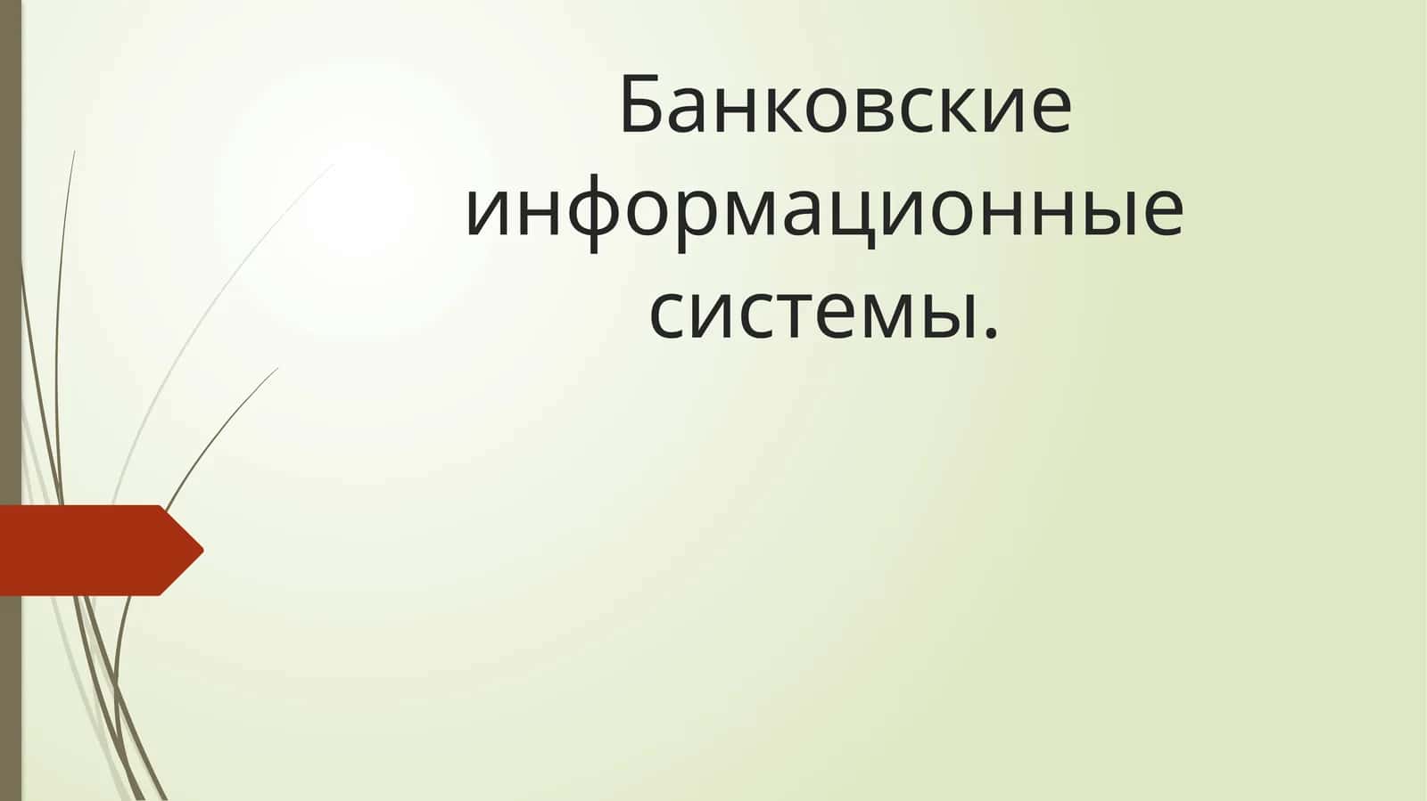 Банковские информационные системы 1