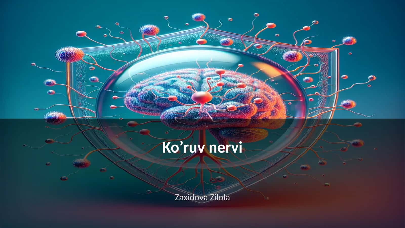 Ko’ruv nervi 1