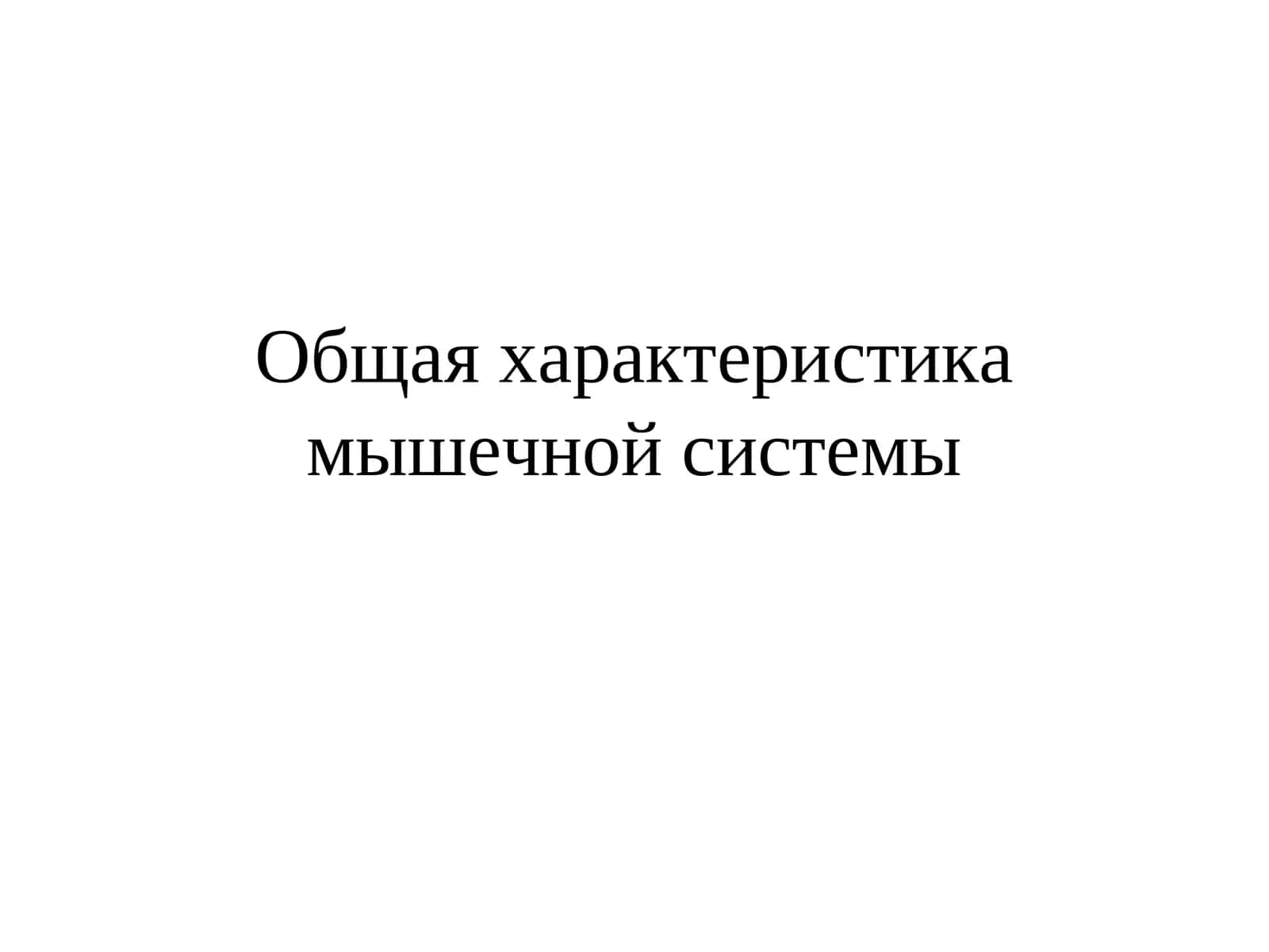 Общая характеристика мышечной системы 1