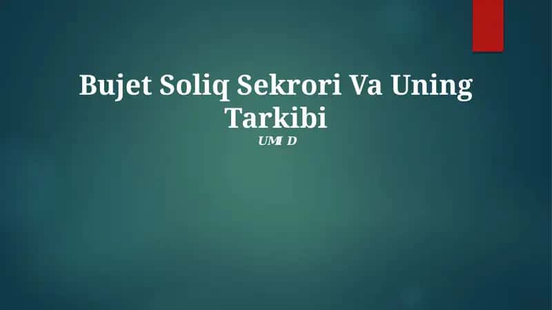 Bujet Soliq Sektori Va Uning Tarkibi 1