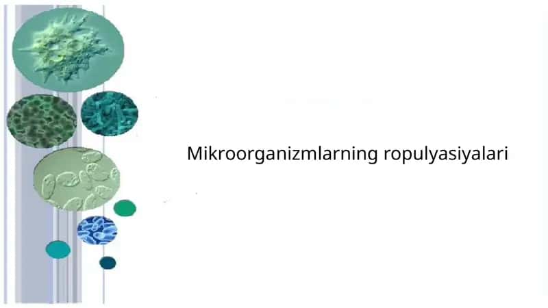 Mikroorganizmlarning ropulyasiyalari 1
