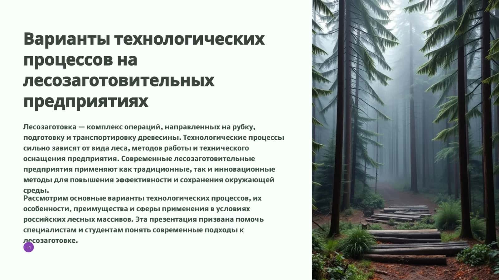 Технологические процессы на лесозаготовительных предприятиях 1