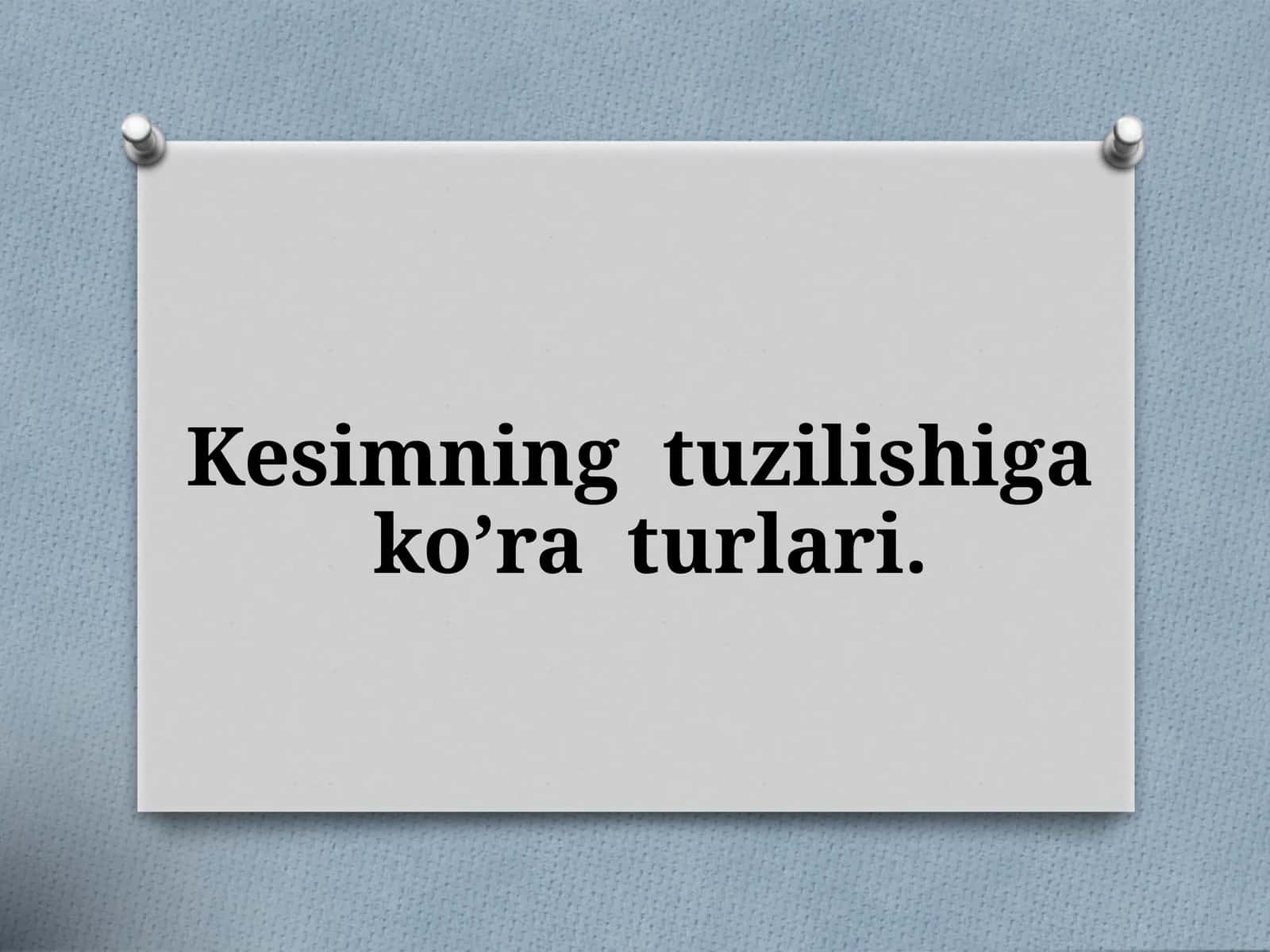 Kesimning tuzilishi va ko’raturlari 1