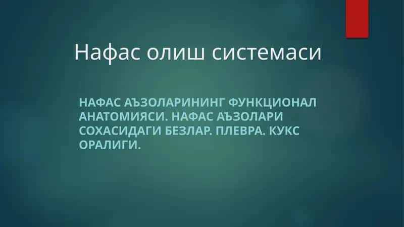 Nafas olish sistemasi anatomiyasi 1